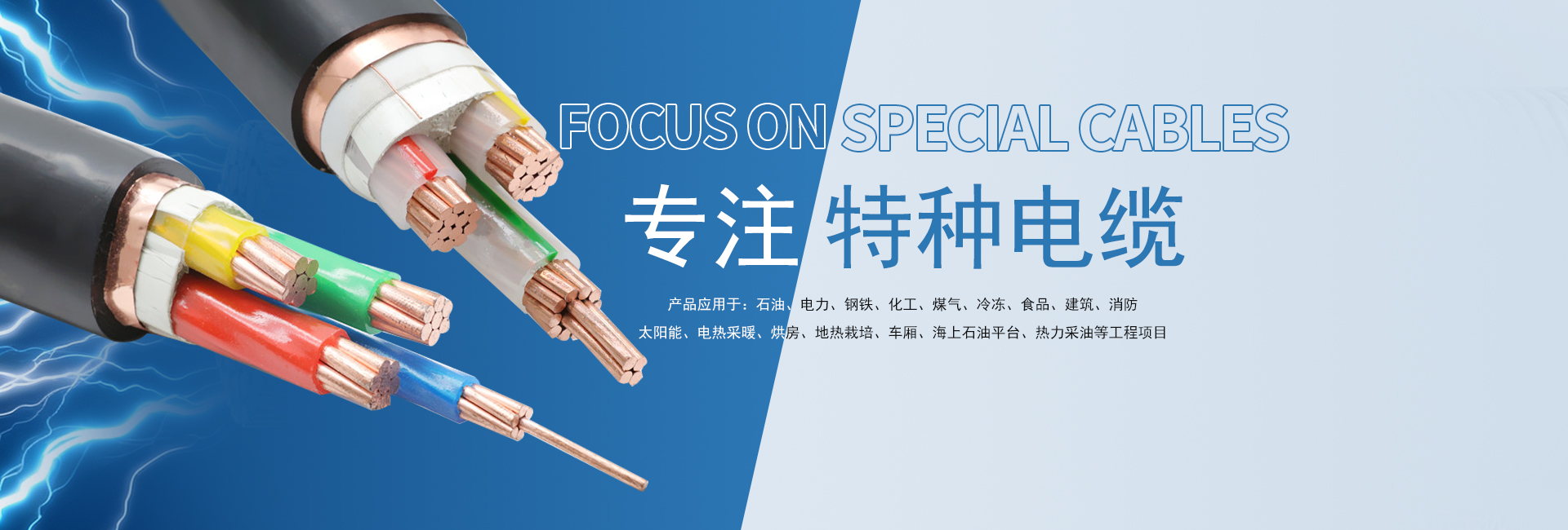 特种电缆